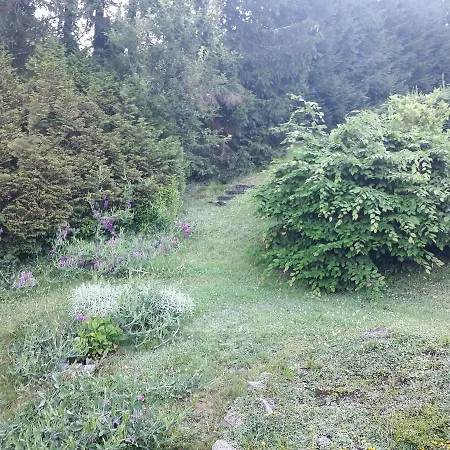Fewo-mueller * Klingenthal