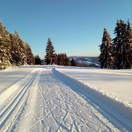 Fewo-mueller Apartamento Klingenthal